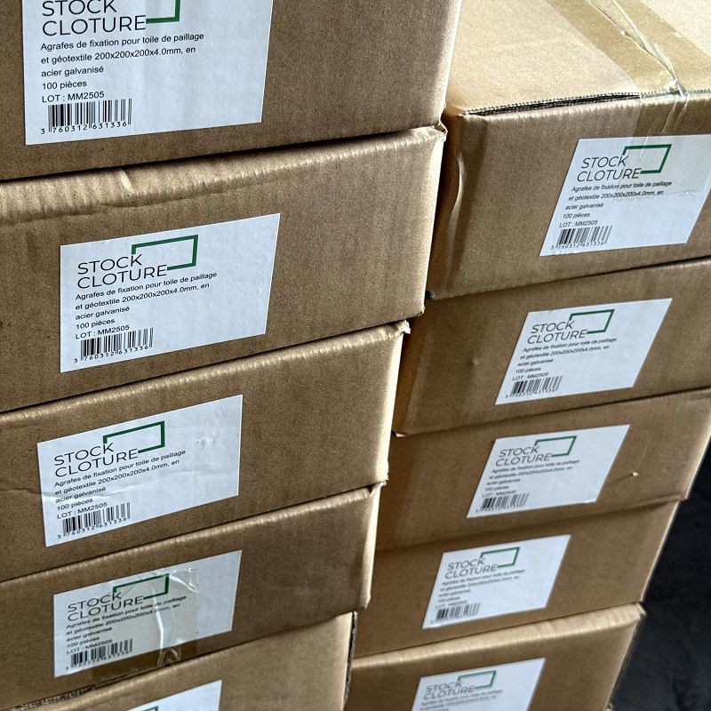 IMG0954001 IMG0954001